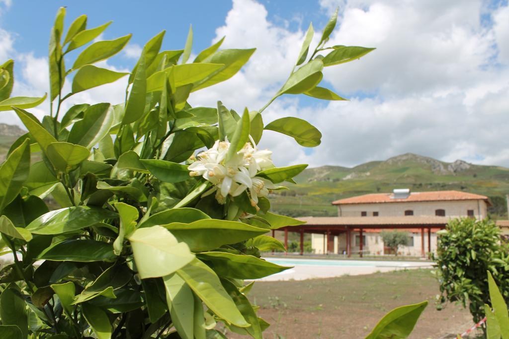 Tenuta Lanza Il Mulino Acquaviva Platani Luaran gambar