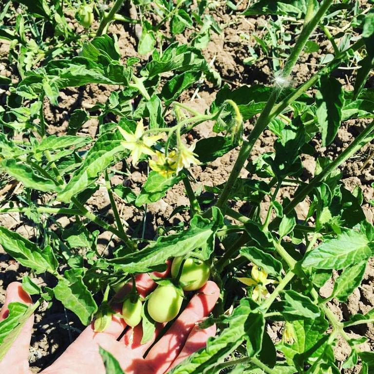 Tenuta Lanza Il Mulino Acquaviva Platani Luaran gambar