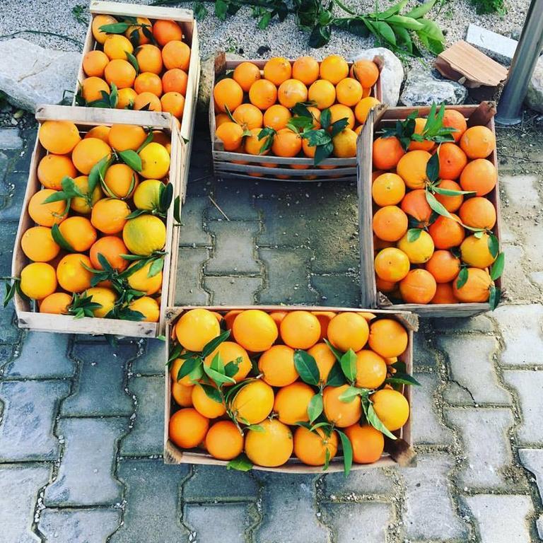 Tenuta Lanza Il Mulino Acquaviva Platani Luaran gambar
